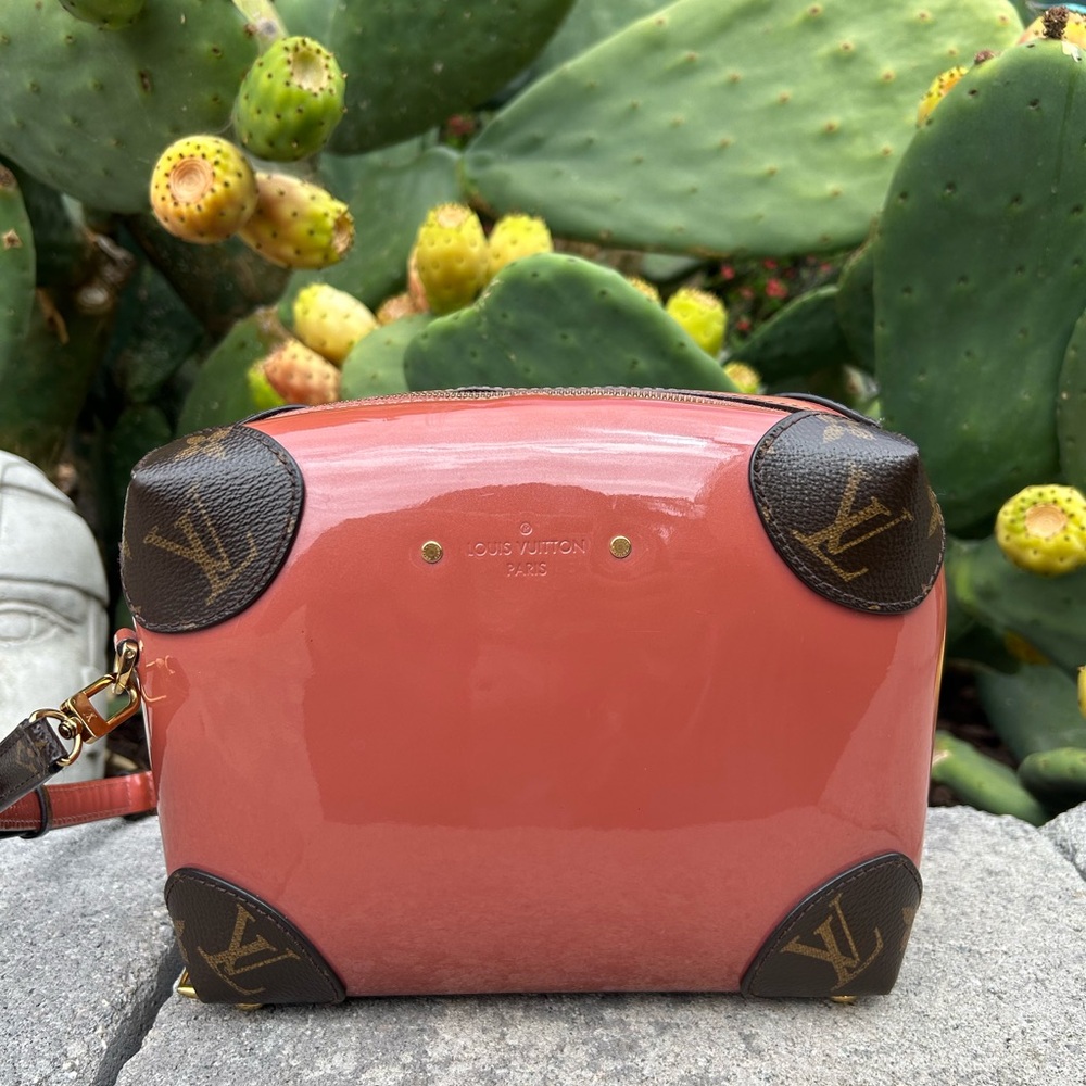 Louis Vuitton Venice Handbag